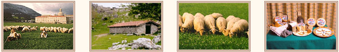 Una serie de 4 fotos, en la que podemos encontrar las pastoras y sus ovejas en un campo de Loiola. En otra podemos ver la borda que tienen en el monte. Un grupo de sus ovejas comiendo hierba y para finalizar un bodegón de su variedad de quesos.